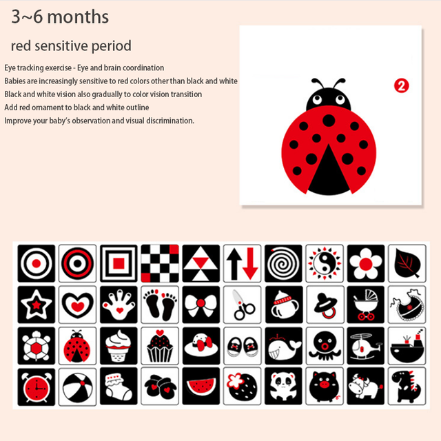 Montessori Black and White Visual Stimulation Cards